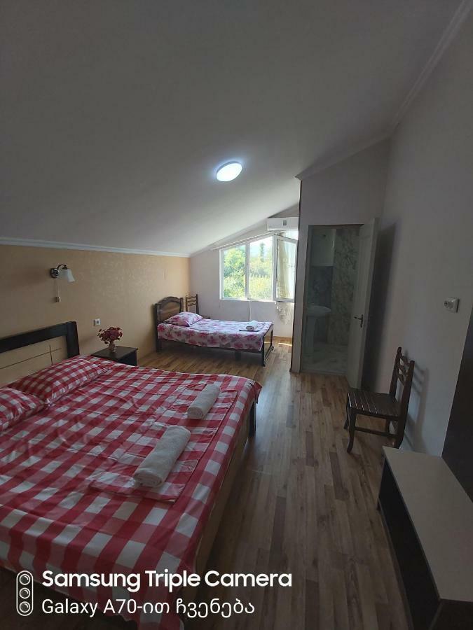 Martvili Newhotel Εξωτερικό φωτογραφία