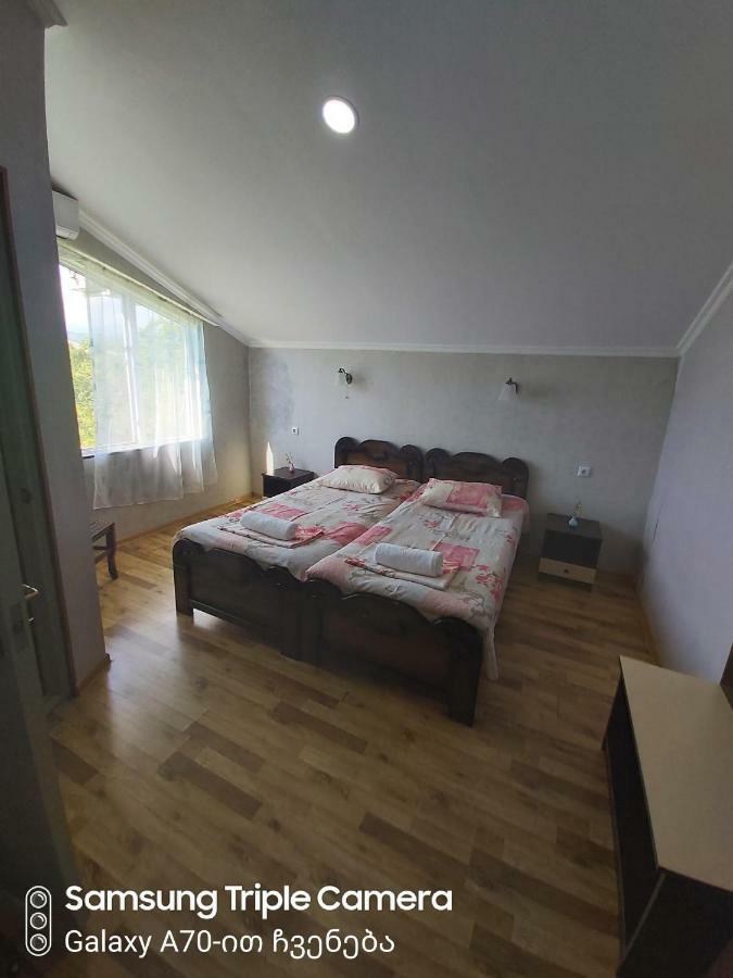 Martvili Newhotel Εξωτερικό φωτογραφία
