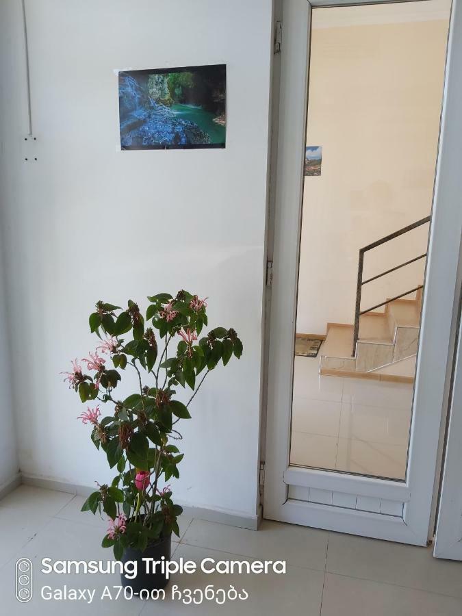 Martvili Newhotel Εξωτερικό φωτογραφία